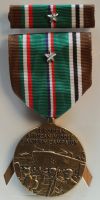 European African Middel Eastern Campaign with one Bronze service star